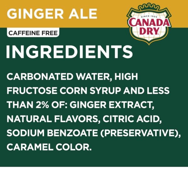 Ginger Ale Soda, 12 Fl Oz Cans (Pack of 12) - Image 7