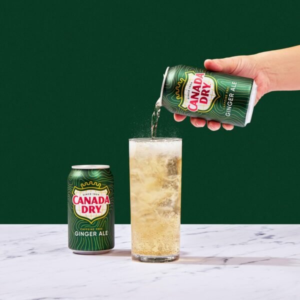 Ginger Ale Soda, 12 Fl Oz Cans (Pack of 12) - Image 8