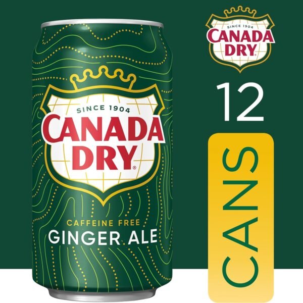 Ginger Ale Soda, 12 Fl Oz Cans (Pack of 12) - Image 5