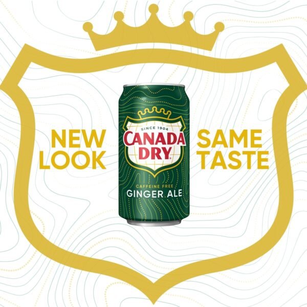 Ginger Ale Soda, 12 Fl Oz Cans (Pack of 12) - Image 3