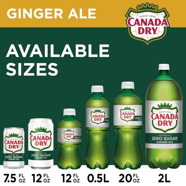 Zero Sugar Ginger Ale Soda, 12 Fl Oz Cans (Pack of 12) - Image 8