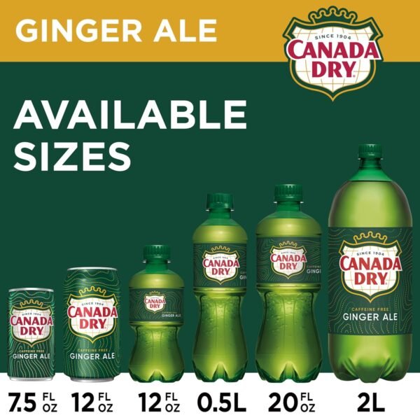 Ginger Ale Soda, 12 Fl Oz Cans (Pack of 12) - Image 6