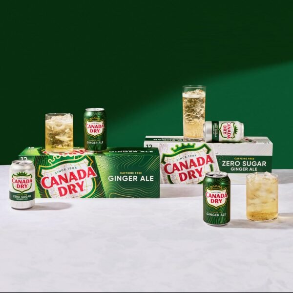 Ginger Ale Soda, 12 Fl Oz Cans (Pack of 12) - Image 9