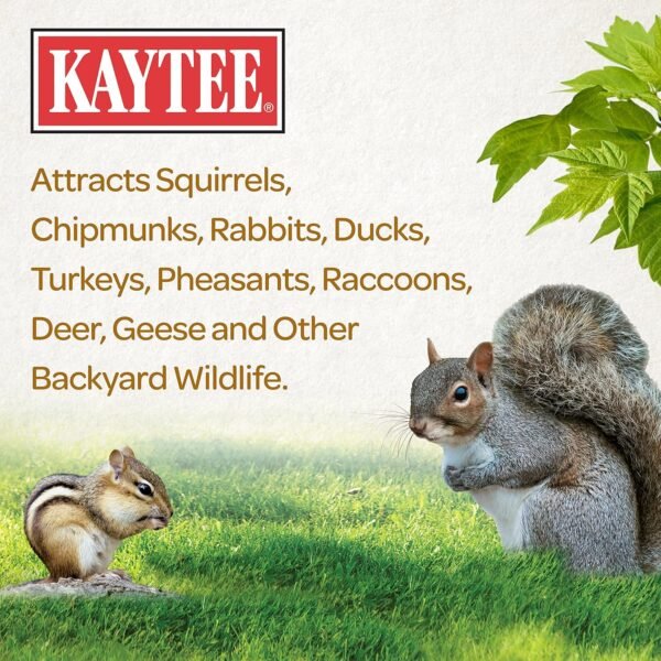 Squirrel & Critter Food Blend for Squirrels, Chipmunks, Rabbits & Other Backyard Wildlife 10 Pound (Pack of 1) - Image 7