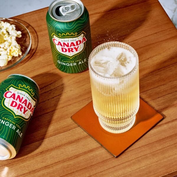 Ginger Ale Soda, 12 Fl Oz Cans (Pack of 12) - Image 10