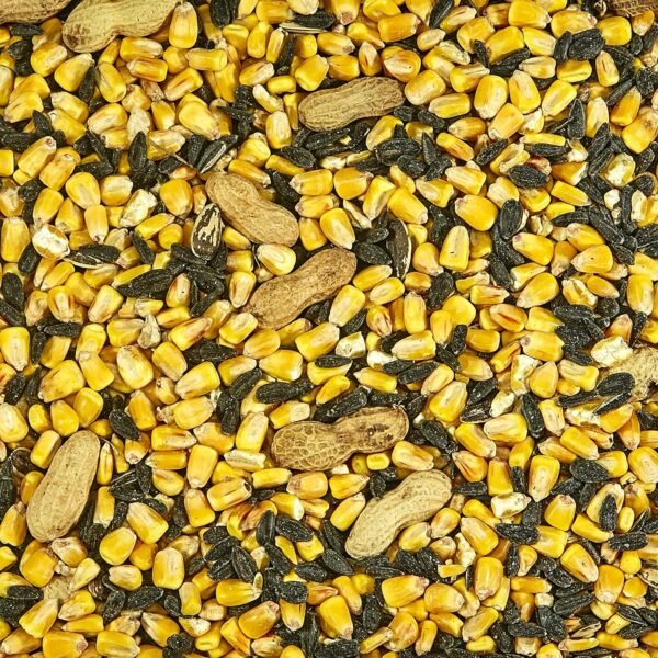 Squirrel & Critter Food Blend for Squirrels, Chipmunks, Rabbits & Other Backyard Wildlife 10 Pound (Pack of 1) - Image 4