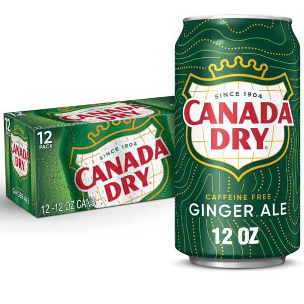 Ginger Ale Soda, 12 Fl Oz Cans (Pack of 12) - Image 2